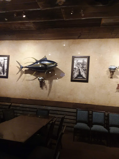 Sporting Goods Store «Bass Pro Shops», reviews and photos, 1 Bass Pro Dr, Bristol, TN 37621, USA