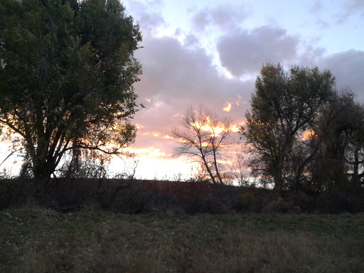 Golf Club «Highlands Ranch Golf Club», reviews and photos, 9000 Creekside Way, Highlands Ranch, CO 80129, USA