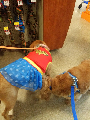 Pet Supply Store «PetSmart», reviews and photos, 5435 W TX-1604 Loop N, San Antonio, TX 78253, USA