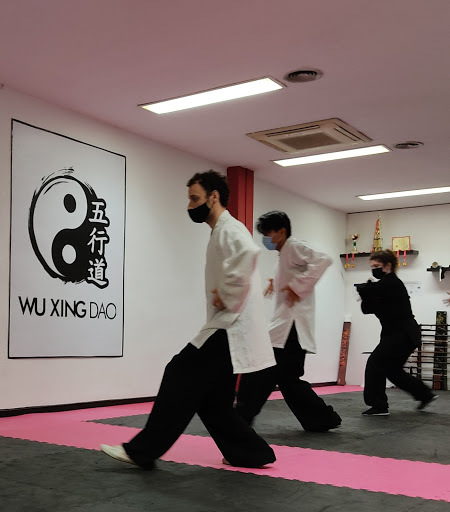 WU XING DAO (Kung Fu, Tai Chi, Chikung y Meditación)