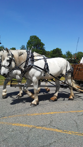 Museum «East Jersey Old Town Village», reviews and photos, 1050 River Rd, Piscataway Township, NJ 08854, USA