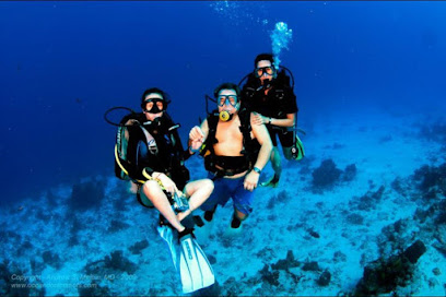Cancun Scuba Diving Cancun dive shop & Training Center Dive shop Cancun 3 in Playa Mujeres by Deep Life Divers
