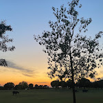 Photo n°5 de l'avis de alessandro.o fait le 11/08/2023 à 08:03 sur le  Hotel Classensis - Basilica of Sant'Apollinare in Classe à Ravenna