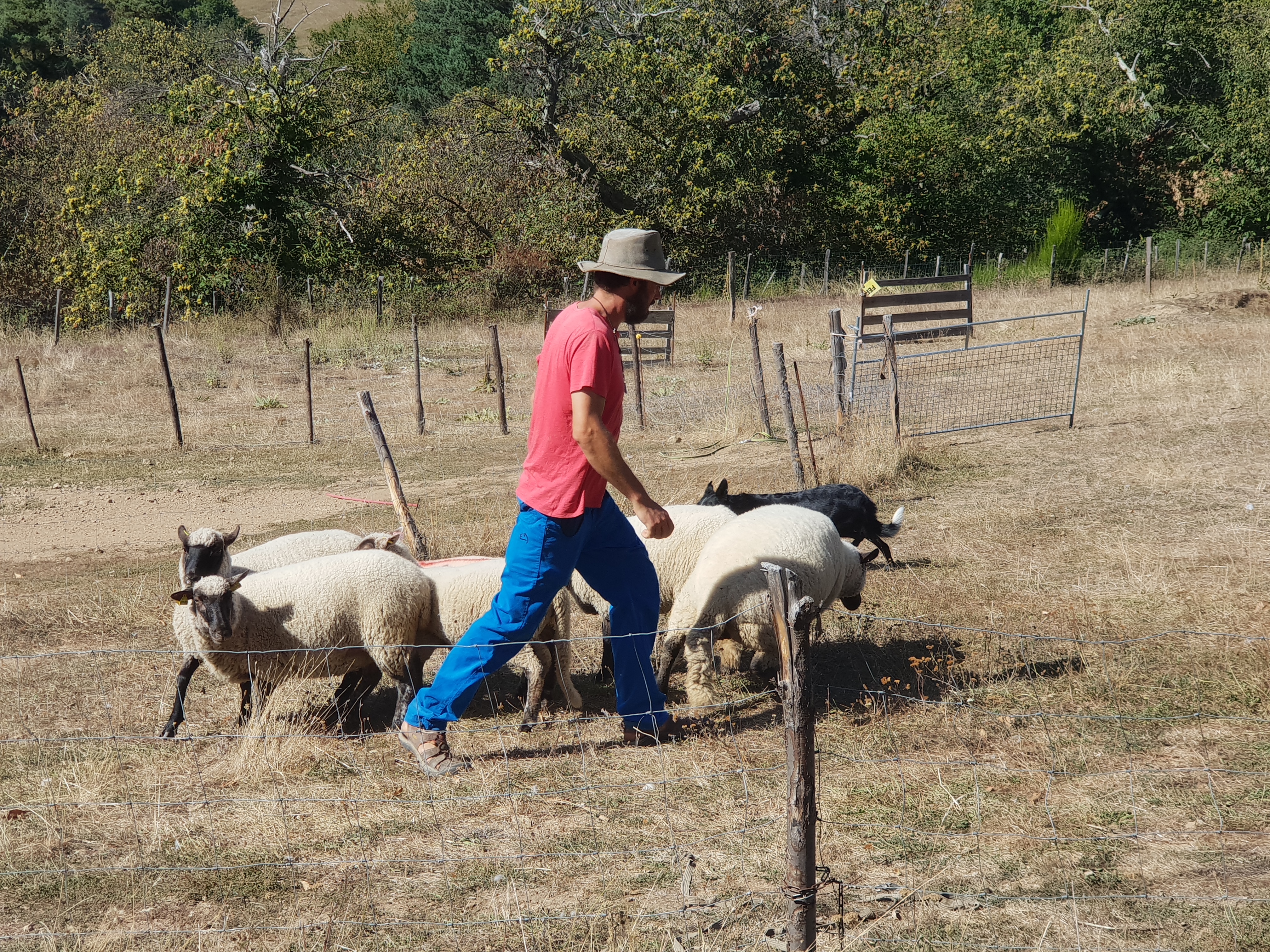 Photo n° 4 de l'avis de virginie.h fait le 26/09/2018 à 15:30