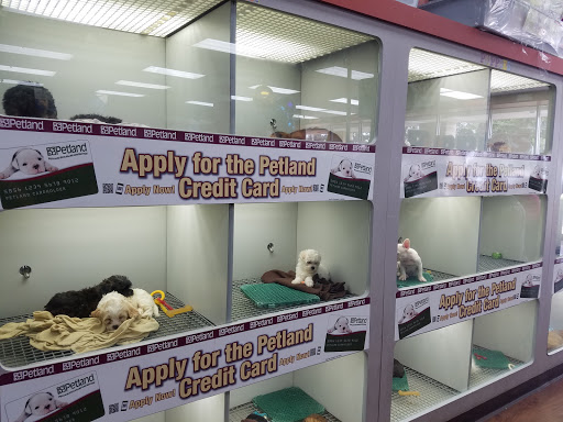 Pet Store «Petland Pembroke Pines», reviews and photos, 356 N University Dr, Pembroke Pines, FL 33024, USA