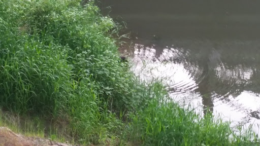 Sporting Goods Store «Corvallis Sports Park», reviews and photos, 175 SW Twin Oaks Cir, Corvallis, OR 97333, USA