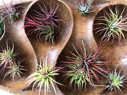 Jewelry Designer «viv&ingrid», reviews and photos, 2142 Oxford St, Berkeley, CA 94704, USA