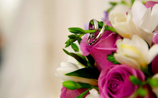Timaru Marriage Celebrant - Sarah McCambridge & Wedding and Event Planner - Timaru