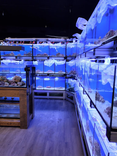 Pet Store «Bluewater Zoo Exotic Aquariums & Reptiles», reviews and photos, 159 Miracle Strip Pkwy SE, Fort Walton Beach, FL 32548, USA