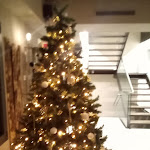 Photo n°3 de l'avis de MICHELE.O fait le 28/11/2022 à 11:58 sur le  Birraria Ai Giardini à Cittadella