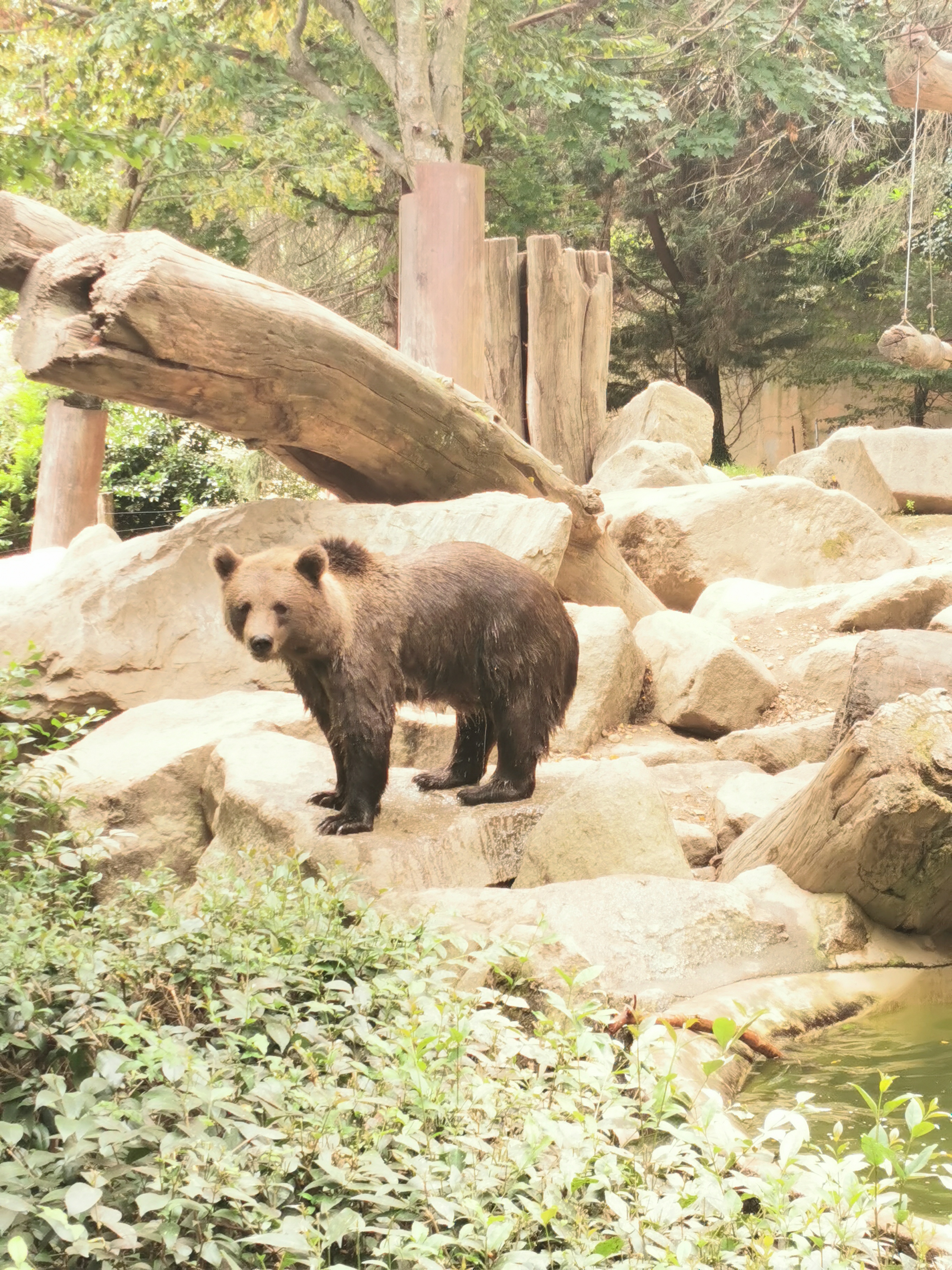 Photo n° 1 de l'avis de Clement.r fait le 17/08/2023 à 05:06