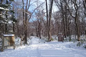 Nopporo Forest Park Osawa Entrance image