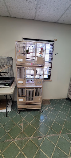 Bird Shop «Paterson Bird Store», reviews and photos, 13 Furler St # 1, Totowa, NJ 07512, USA