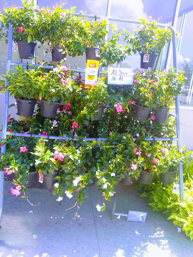 Home Improvement Store «The Home Depot», reviews and photos, 649 Carl-Bethlehem Rd, Winder, GA 30680, USA