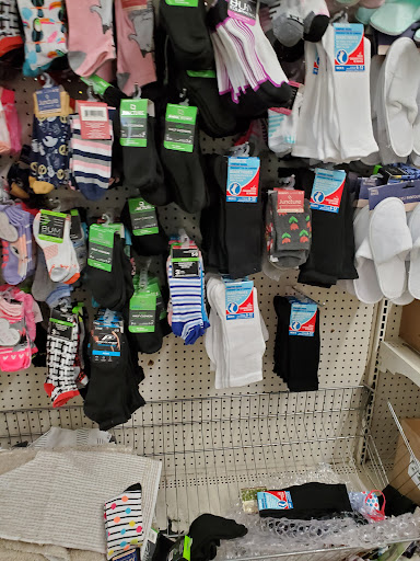 Dollar Store «Dollar Tree», reviews and photos, 217 Glen St, Glen Cove, NY 11542, USA