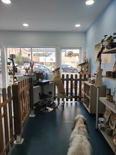 Limpiadog Buenavista. Peluquería canina, Autolavado y tienda. - Oviedo