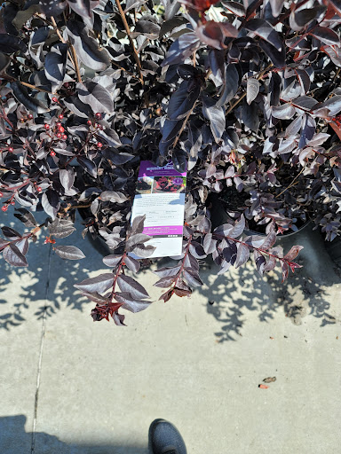 Home Improvement Store «The Home Depot», reviews and photos, 3051 W Radio Dr, Florence, SC 29501, USA