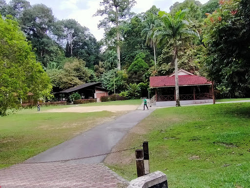FRIM Camping Area