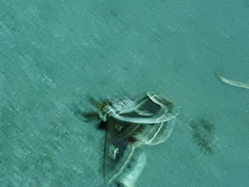 Commercial Printer «Continental Web Press», reviews and photos, 1430 Industrial Dr, Itasca, IL 60143, USA