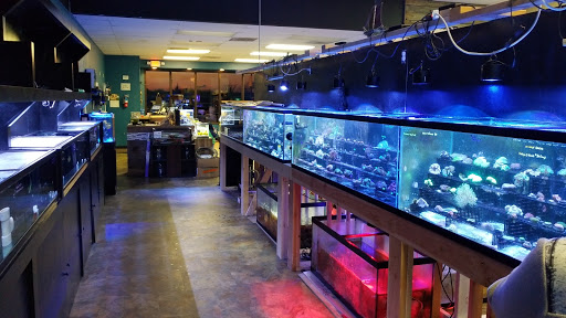 Tropical Fish Store «Aquatic Treasures», reviews and photos, 2533-A Vandalia St, Collinsville, IL 62234, USA