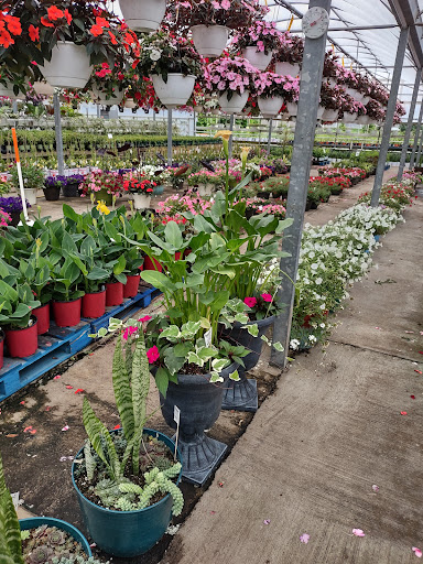 Plant Nursery «Blooming Acres», reviews and photos, 7561 State Rd, Wadsworth, OH 44281, USA