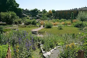 Carinthian Botanical Center with the Provincial Herbarium image