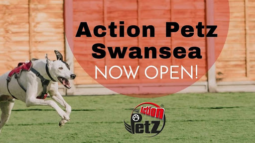 Action Petz Swansea