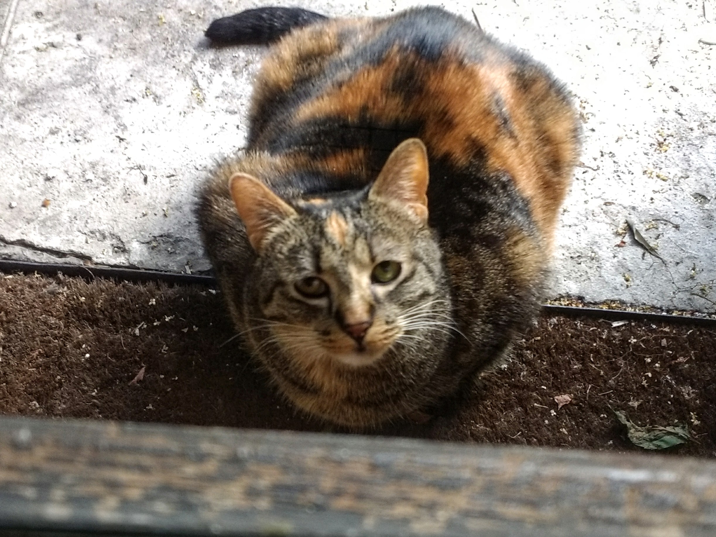 Photo n° 6 de l'avis de D. fait le 27/06/2018 à 17:13