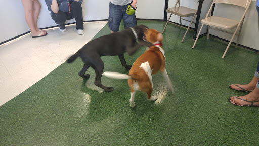 Pet Supply Store «Petco Animal Supplies», reviews and photos, 990 Brook Forest Ave, Shorewood, IL 60431, USA