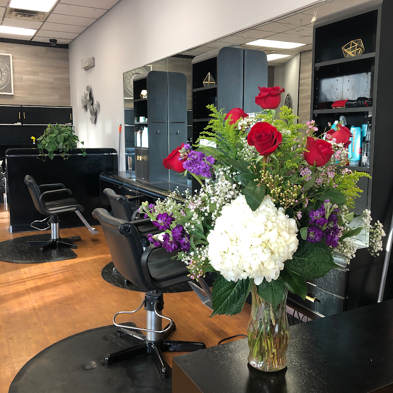 HS Salon - Your Local San Diego Men's & Women's Haircut, Style, and Hair Color Experts