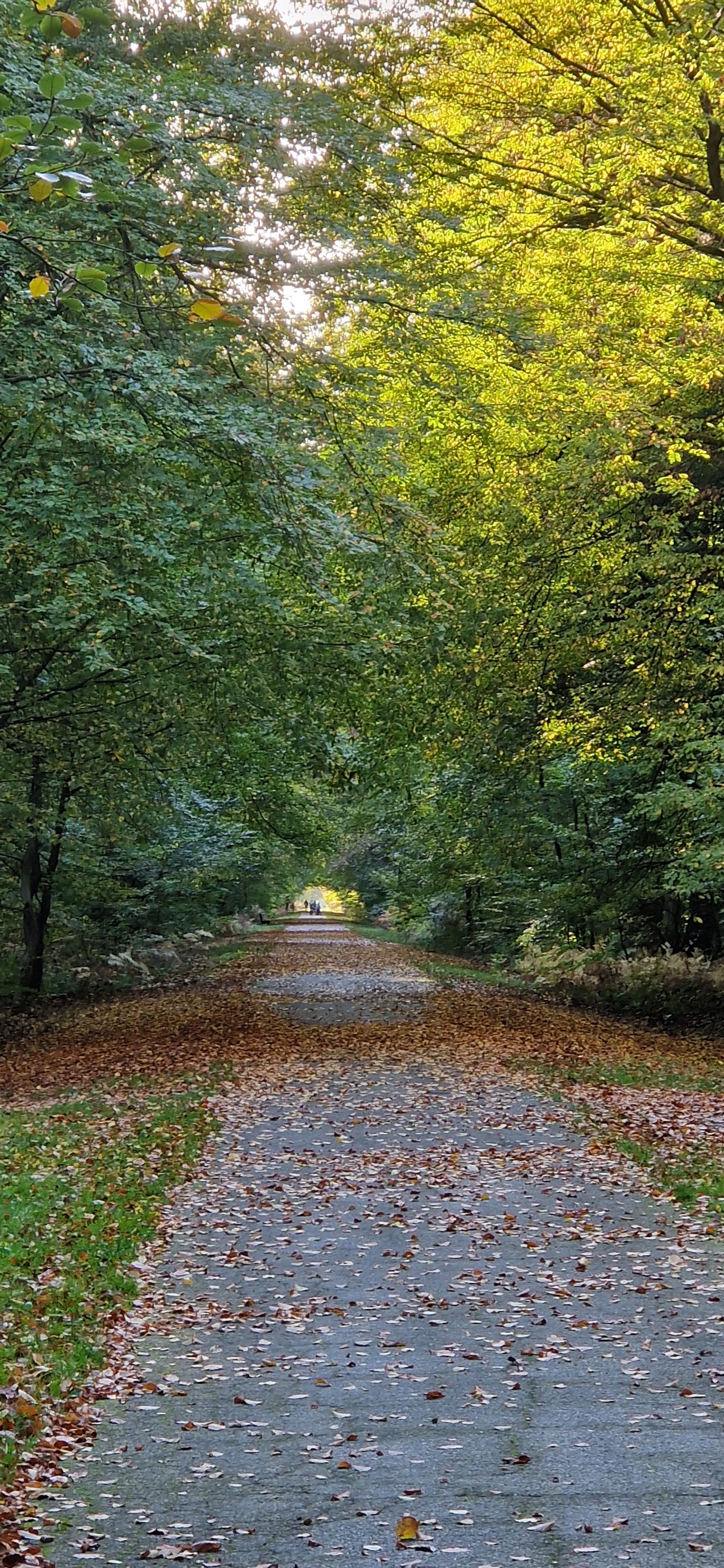 Photo n° 2 de l'avis de Eric. fait le 27/10/2022 à 15:51
