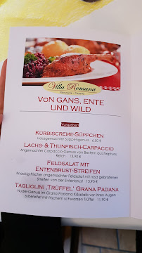 Menu / carte de Villa Romana à Hainburg