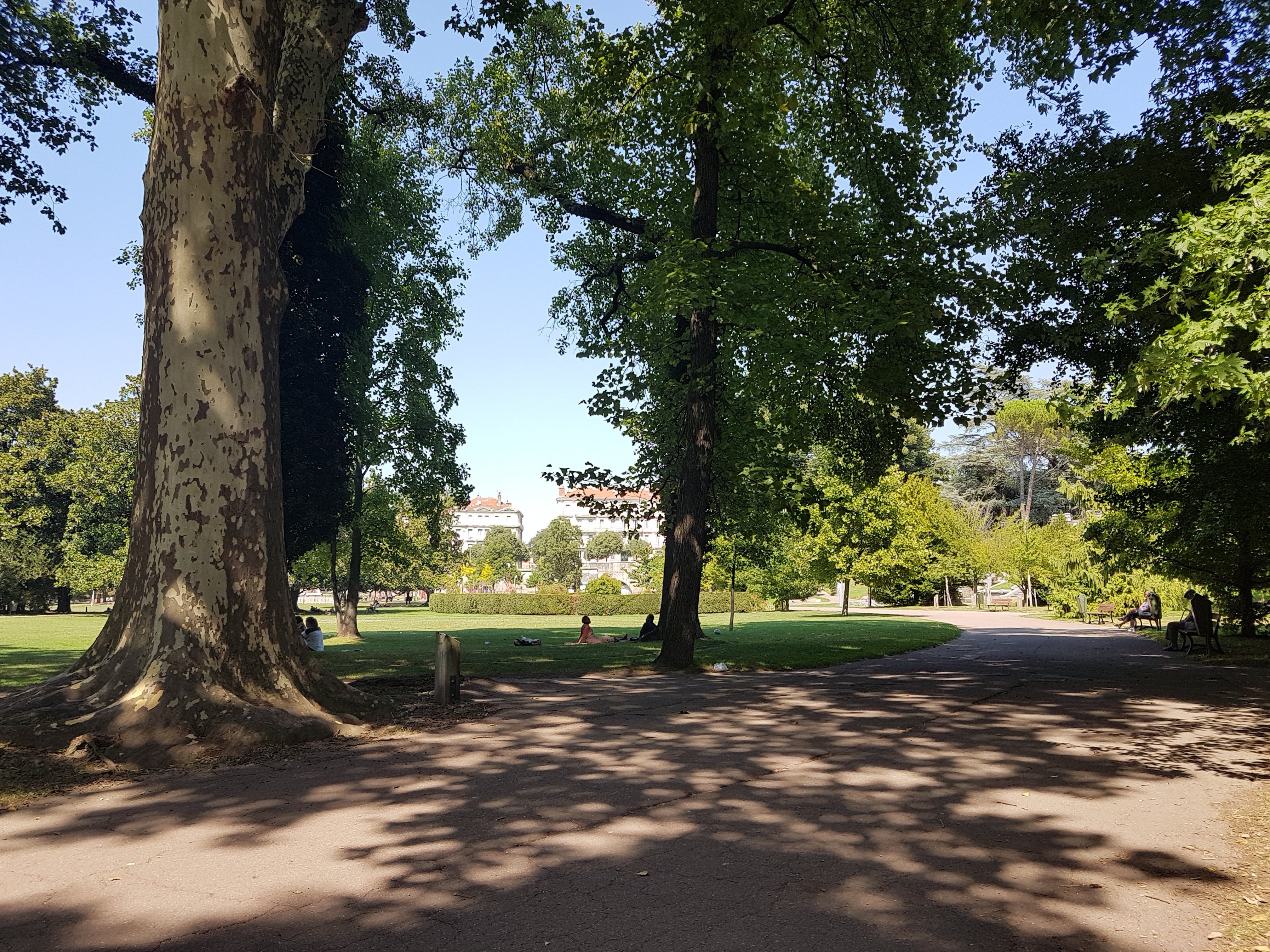 Photo n° 21 de l'avis de Yvette.Y fait le 31/07/2018 à 19:49