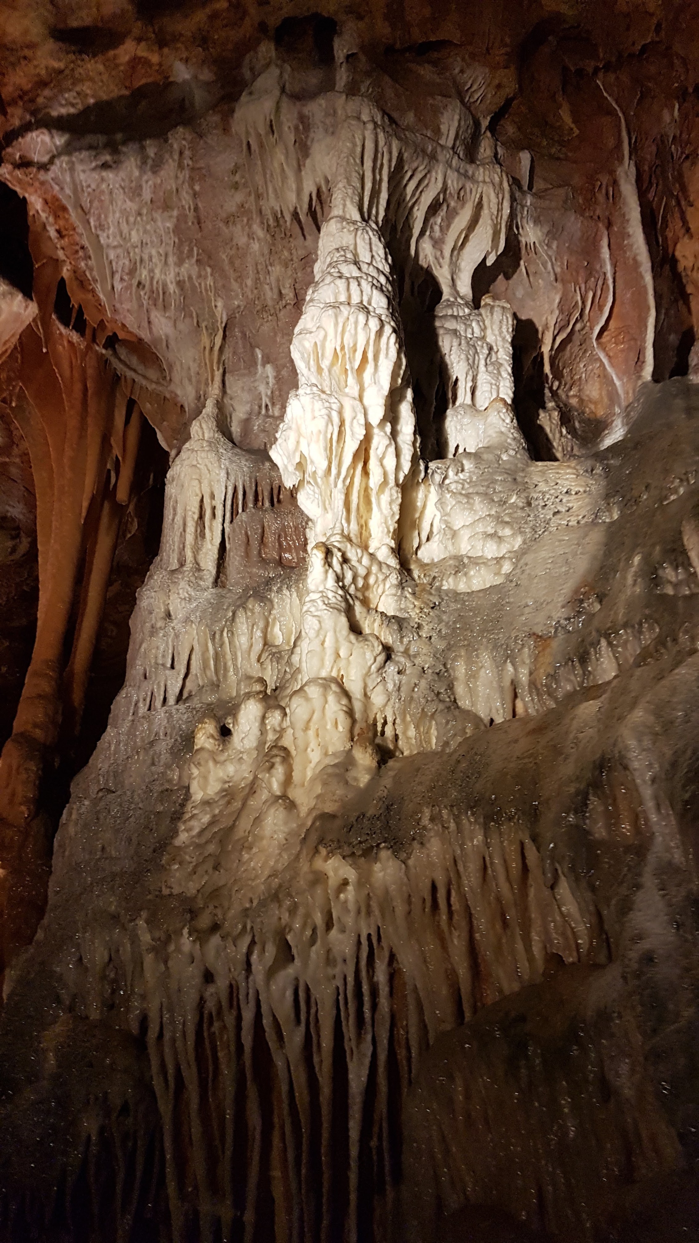 Photo n° 9 de l'avis de LAMOLE.a fait le 06/09/2018 à 20:19