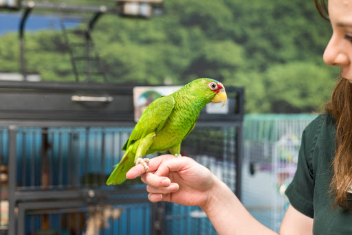 Pet Supply Store «Skyway Feed & Pet Supply Inc», reviews and photos, 677 Birch St, Paradise, CA 95969, USA