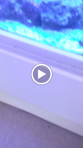 Pet Supply Store «Petco Animal Supplies», reviews and photos, 300 Hylan Dr, Rochester, NY 14623, USA