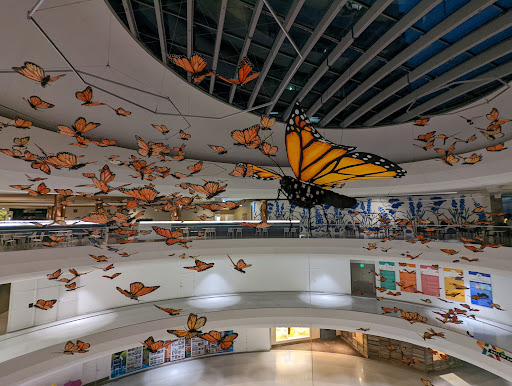 Shopping Mall «Mall of America», reviews and photos, 60 E Broadway, Bloomington, MN 55425, USA