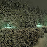 Photo n°4 de l'avis de Hans.i fait le 11/02/2022 à 18:43 sur le  Hotel Rennsteig Masserberg à Masserberg