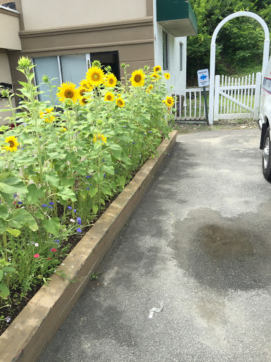 Convenience Store «Cousins Mini Mart», reviews and photos, 3997 NY-22, Wassaic, NY 12592, USA