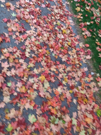 Market «Westville Quality Market», reviews and photos, 243 Alden Ave, New Haven, CT 06515, USA