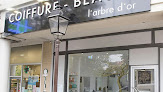 Salon de coiffure L'Arbre d'or beauté 92210 Saint-Cloud