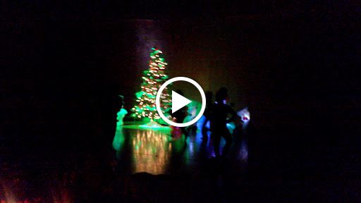 Performing Arts Theater «DeYor Performing Arts Center», reviews and photos, 260 W Federal St, Youngstown, OH 44503, USA