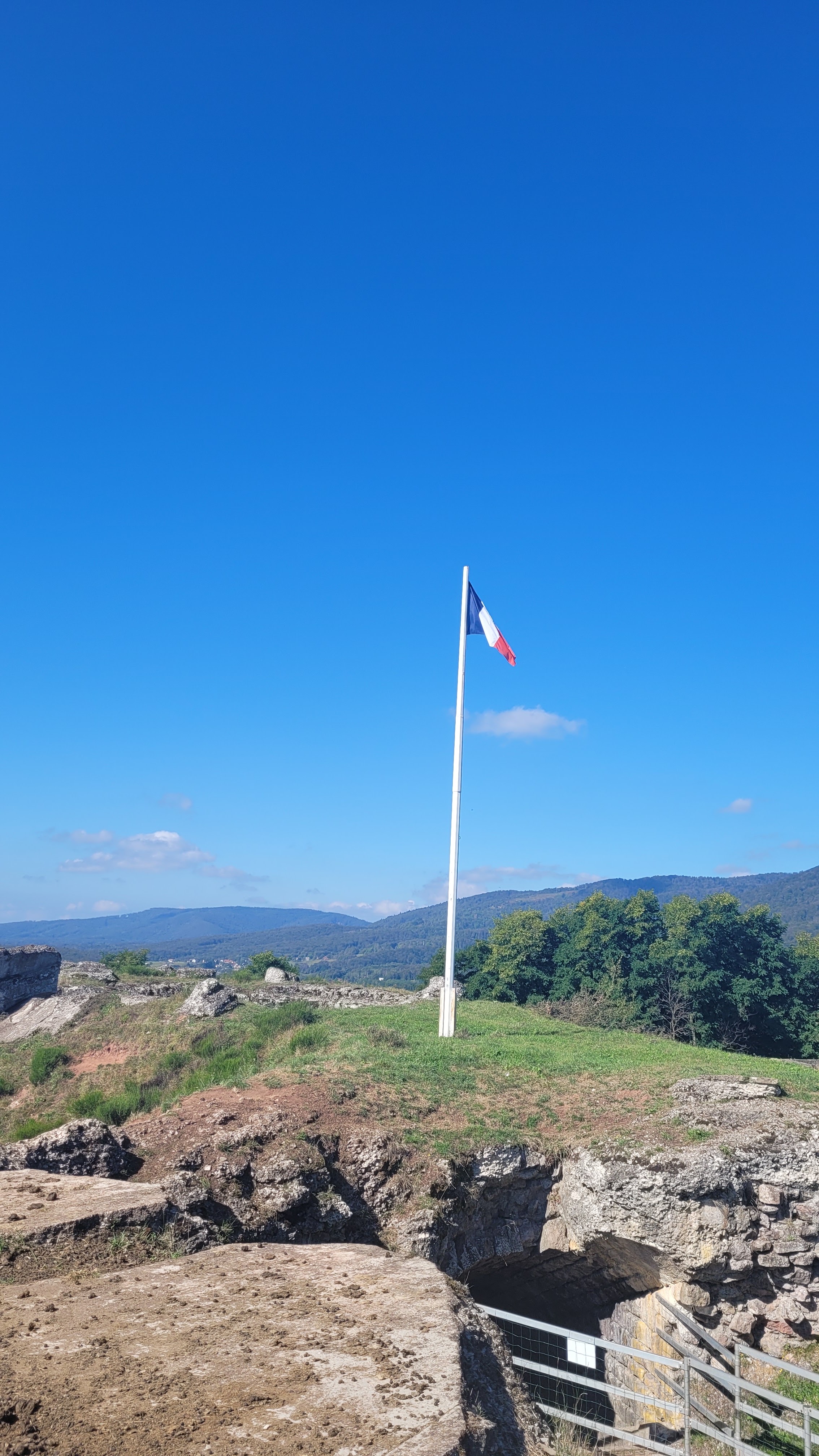 Photo n° 6 de l'avis de N.S. fait le 24/09/2021 à 19:59