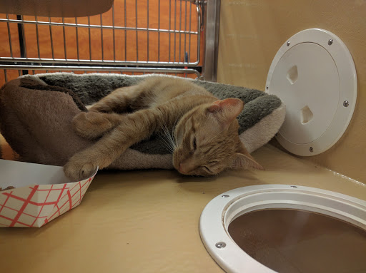 Pet Supply Store «PetSmart», reviews and photos, 300 NJ-18, East Brunswick, NJ 08816, USA