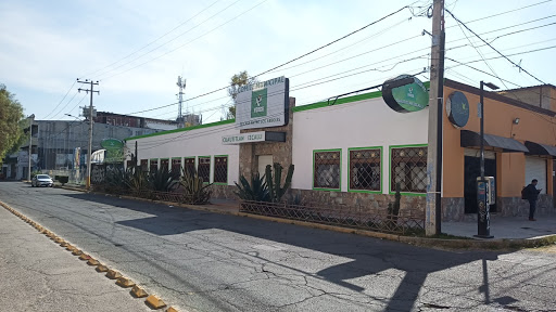 Comité municipal Cuautitlán Izcalli Partido Verde