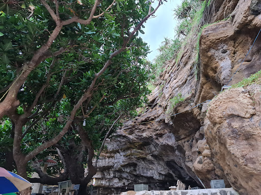 Top 20 cửa hàng akemi Huyện Lý Sơn Quảng Ngãi 2022