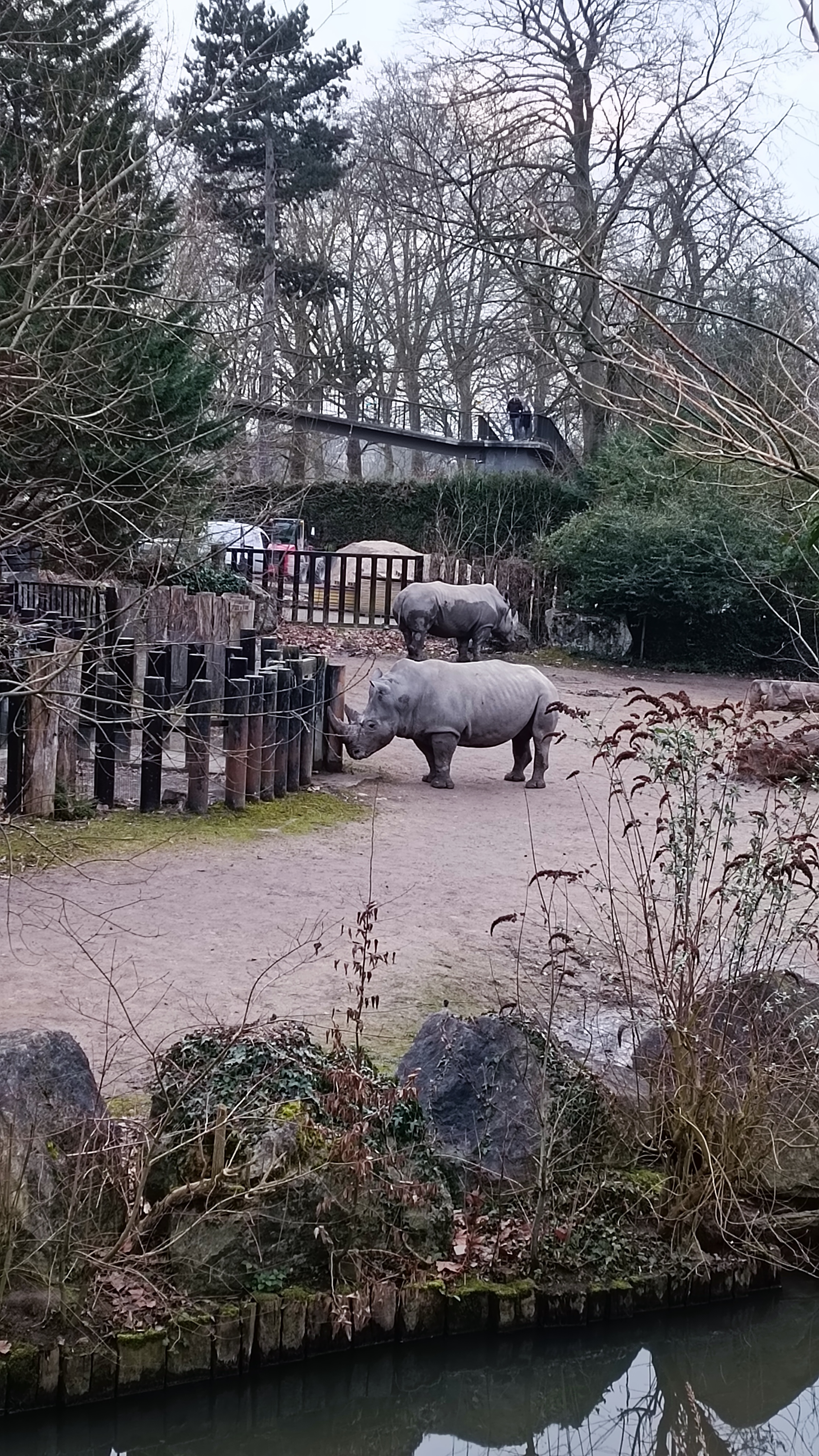 Photo n° 4 de l'avis de Mike.O fait le 25/02/2023 à 09:51