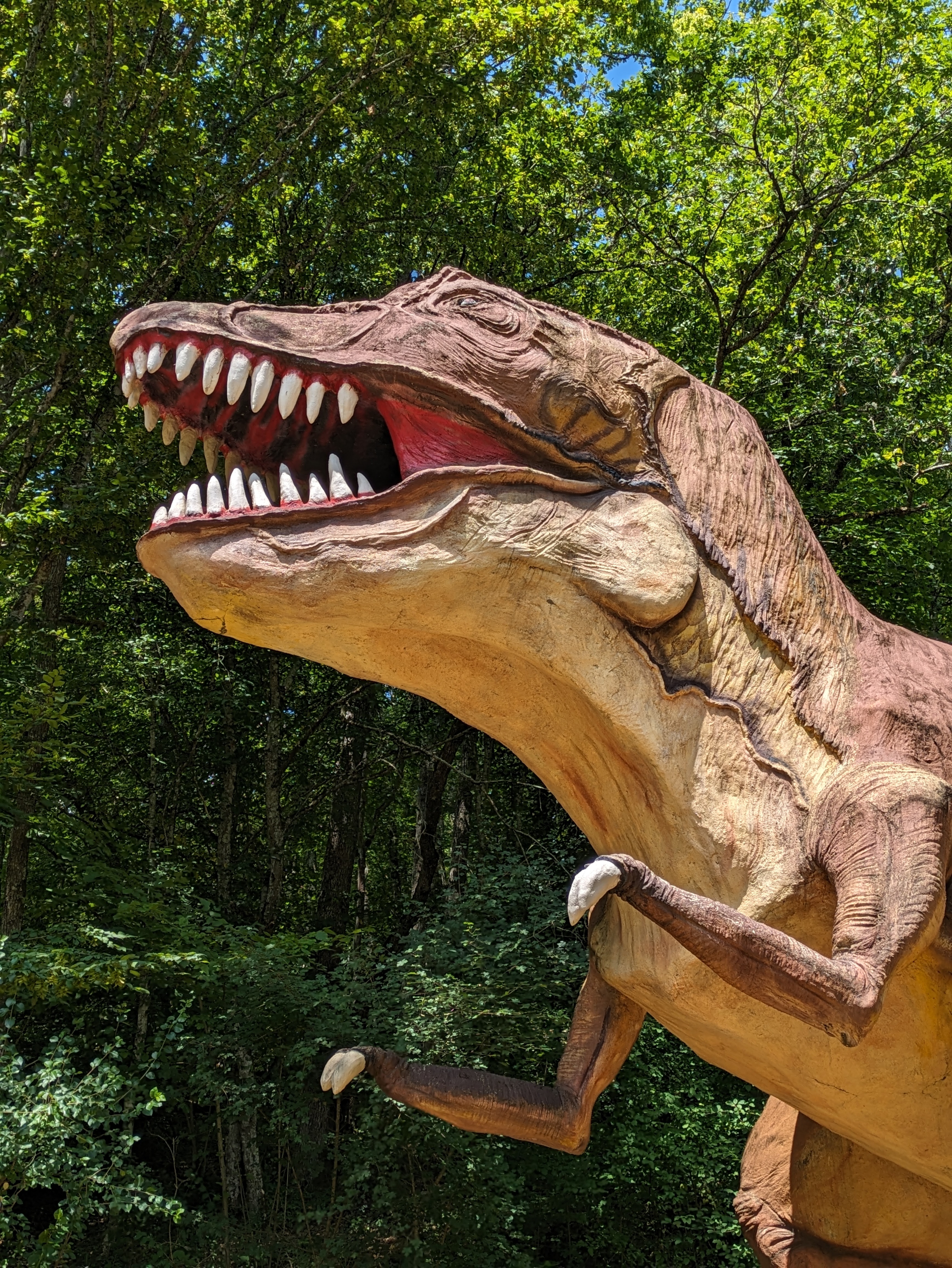 Photo n° 3 de l'avis de franck. fait le 20/07/2023 à 13:54