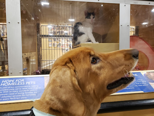 Pet Supply Store «PetSmart», reviews and photos, 6348 Foothill Blvd, Tujunga, CA 91042, USA