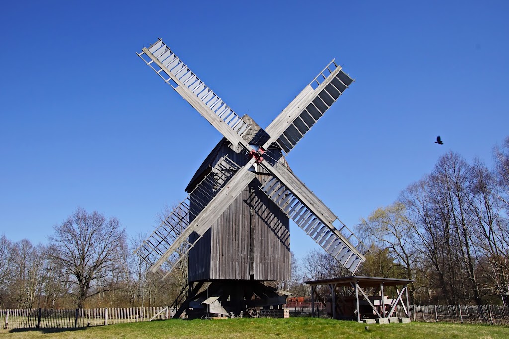 Bockwindmühle Bad Düben